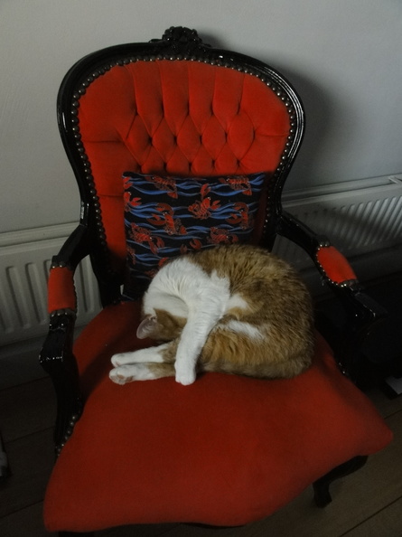 DSC07327.JPG